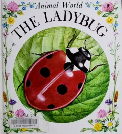 The ladybug