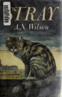 Stray