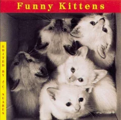 Funny kittens