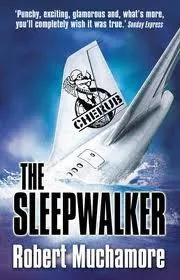 The sleepwalker