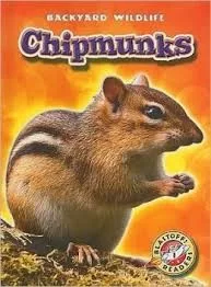 Chipmunks (Blastoff Readers)