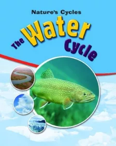 The water cycle