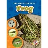 The life cycle of a frog