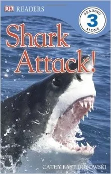 Shark Attack!