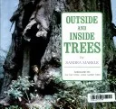 Outside and inside trees