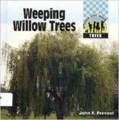 Weeping willow trees