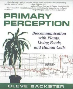 Primary Perception