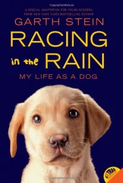 Racing in the rain