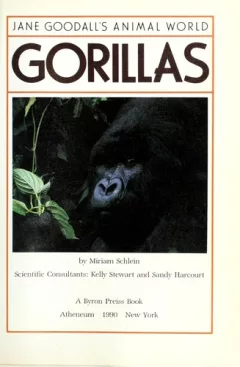 Gorillas