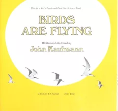 Birds are flying