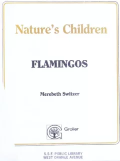 Flamingos