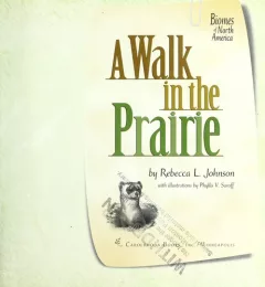 A walk in the prairie