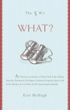 The 5 W's: What?