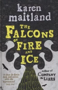The Falcons Of Fire And Ice
