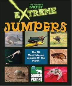 Extreme jumpers.