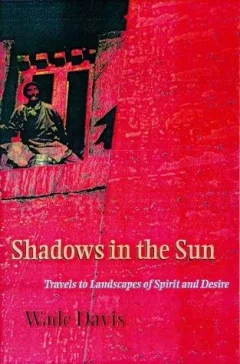 Shadows in the sun