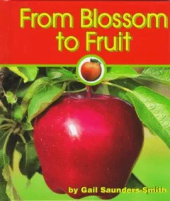 From blossom to fruit