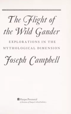The Flight of the wild gander