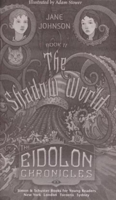 The shadow world