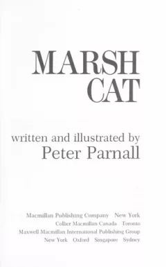Marsh cat