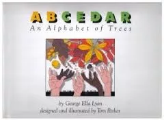 A B Cedar