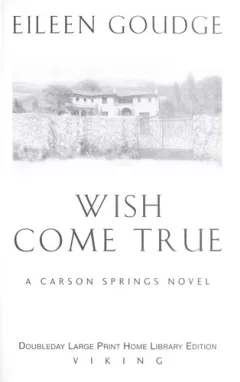 Wish come true