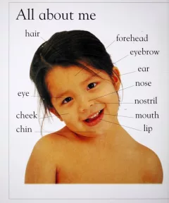 My first word board book