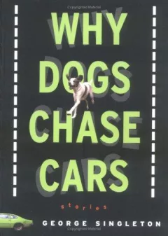 Why dogs chase cars