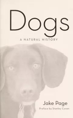 Dogs
