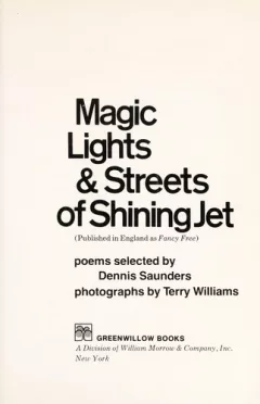 Magic lights & streets of shining jet