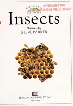 Insects