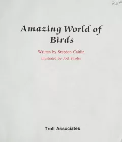 Amazing world of birds
