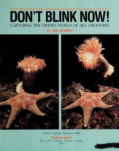 Don't blink now!