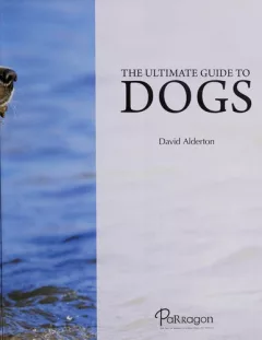 The ultimate guide to dogs