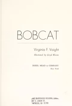Bobcat