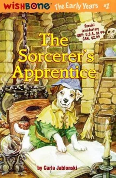 The sorcerer's apprentice