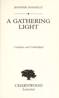A gathering light