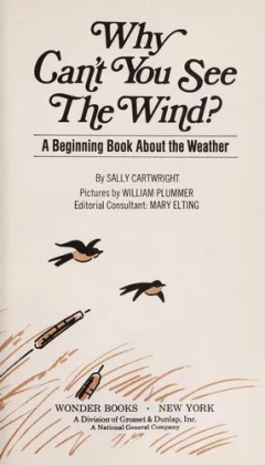 Why can't you see the wind?