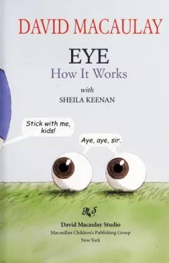 Eye