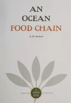 A mountain food chain