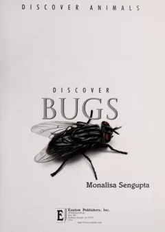 Discover bugs