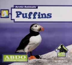 Puffins