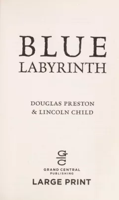 Blue Labyrinth