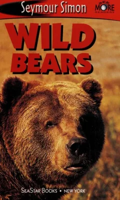 Wild bears