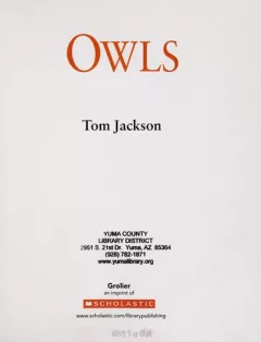 Owls