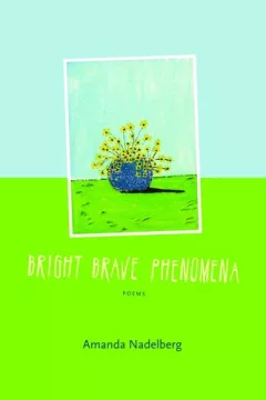Bright Brave Phenomena