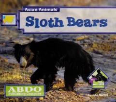 Sloth bears