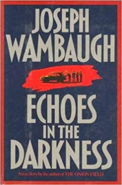 Echoes in the darkness