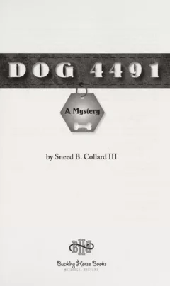 Dog 4491