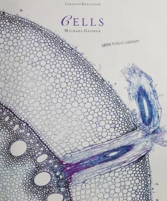 Cells